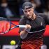 Canada verplettert Australische dromen in Davis Cup-finale 2022 |  28 november 2022 |  Al het nieuws |  Nieuws en Functies |  nieuws en evenementen